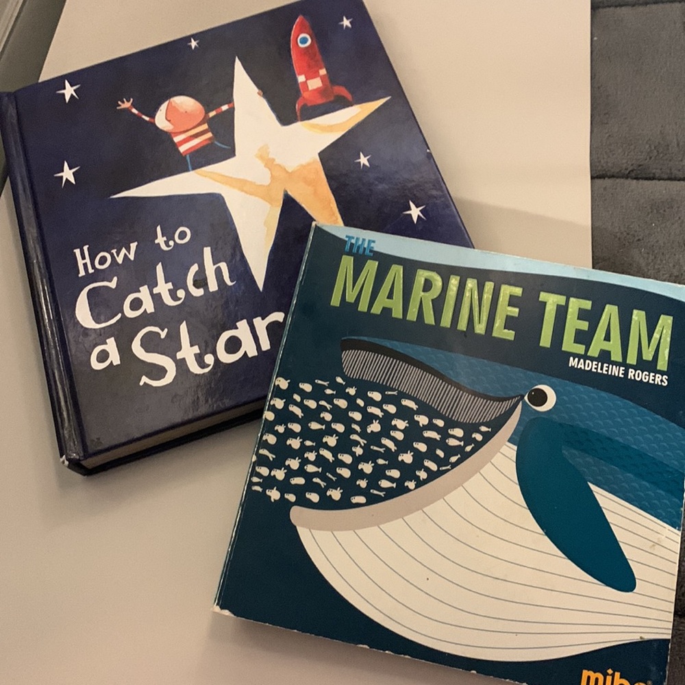 ⭐️2/$12⭐️Set of two board books